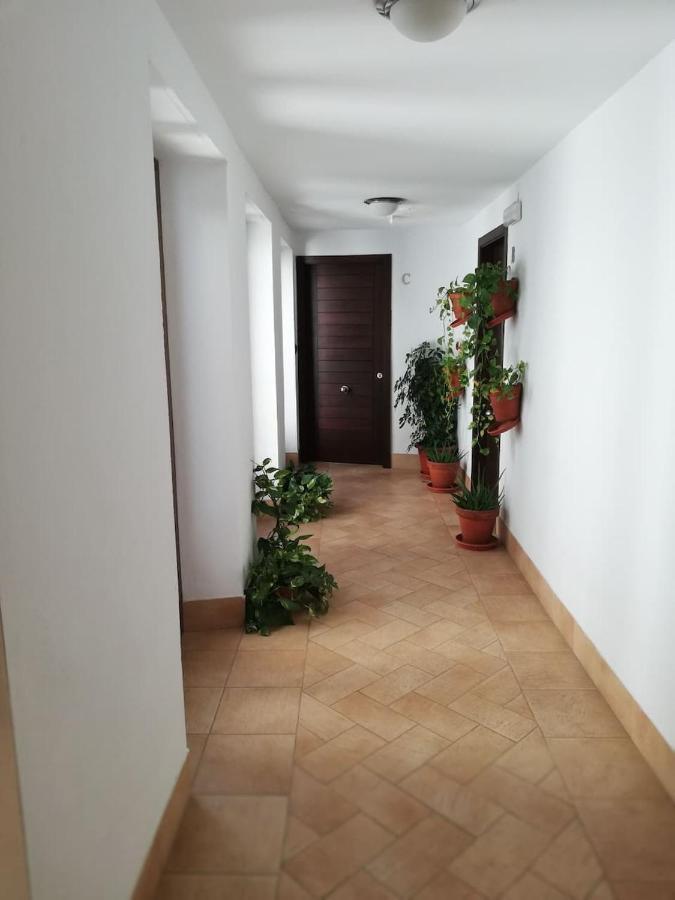 Estudio San Pedro-Corredera Córdoba Exteriér fotografie